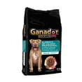 thumbnail image 3 of Alimento para Perro Ganador Premium Adulto Razas Medianas y Grandes Blend 10kg, 3 of 6