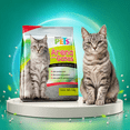 thumbnail image 1 of Arena P/Gato 3 Kg Fancy Pets 3 kg, 1 of 2