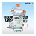 thumbnail image 4 of Bebida hidratante Gatorlyte sabor coco 591 ml, 4 of 5