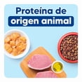 thumbnail image 4 of Alimento para Perro Apawpacho Adultos Razas Pequeñas y Mini 15kg, 4 of 9