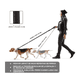 thumbnail image 3 of Correa Seguridad Mascotas Belug, Negro, 3 of 5
