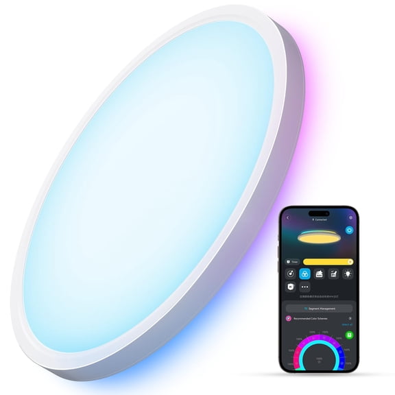 Lámpara de techo Govee Smart RGBIC LED 2400LM 12 pulgadas 220V