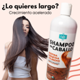 thumbnail image 2 of Shampoo de Caballo Zaire Acelerador de crecimiento y anticaída ZAIRE Para todo Tipo de Cabello, 2 of 10