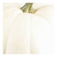 thumbnail image 2 of Calabaza Blanca por pieza, 2 of 6