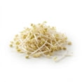 thumbnail image 5 of Germinado De Soya San Francisco Bay Cultivos Naturales 250 G, 5 of 5