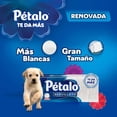 thumbnail image 2 of Servilletas Pétalo 420 pzas, 2 of 4