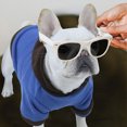 thumbnail image 2 of KAKOWELY Ropa gruesa para perros, sudadera de moda para cachorros, ropa adorable para cachorros, ropa cálida para perros, 2 of 5