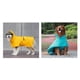 thumbnail image 2 of Zhuge Poncho impermeable para perros, chaqueta impermeable para perros, capa de algodón, forro con capucha, abrigo impermeable ajustable para perros pequeños, cachorros, gatos (2XL, verde), 2 of 4