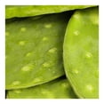 thumbnail image 3 of Nopal Limpio Por Kilo, 3 of 5
