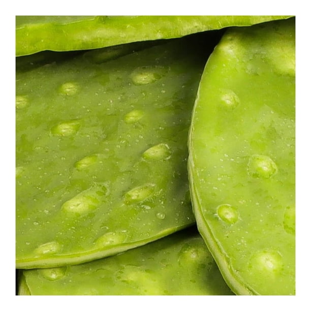 Imagen 3 de Nopal Limpio Por Kilo