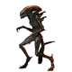 thumbnail image 3 of NECA ALIEN: ROMULUS - ULTIMATE SCORCHED XENOMORPH, 3 of 3
