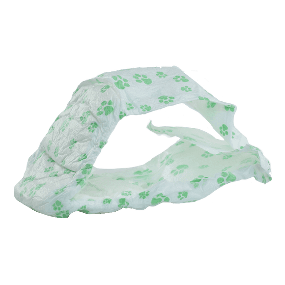Pañal Gde P/Macho Dry Pet 12 pz
