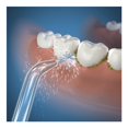 thumbnail image 3 of Cabezal para Irrigador Bucal Waterpik Clásica JT-100E, 3 of 3