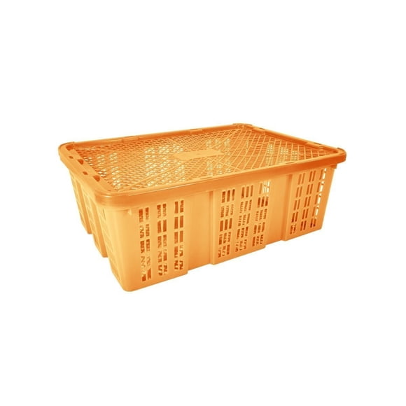 CAJA BAMBA'O