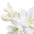 thumbnail image 3 of WEAVILUX Clip Difusor De Aromas Para Auto Con Floral Para Interior Y Frescura, 3 of 8