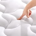 thumbnail image 1 of Cubrecolchón SLEEP ZONE Cooling King Nanotex blanco, 1 of 7