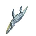 thumbnail image 3 of Modelo de dinosaurio Liopleurodon Artificial de goma para niños, juguete biológico realista, regalo de adorno Advancent  WJ3545-00, 3 of 7