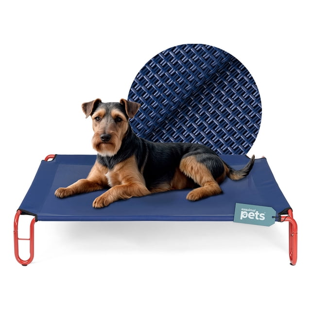 cama elevada para perro con malla transpirable, catre de mascotas esquimal (azul - rojo,90x65x20 cm) cama tamaño chico 90x65x20 cm con estructura metálica roja y malla Teslin azul tipo trampolín; vista frontal con perro acostado sobre la plataforma, patas con topes de goma antideslizantes visibles, textura de malla en primer plano, apta para interior y exterior y adecuada como base para colchoneta o manta.