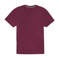 thumbnail image 1 of Playera Fruit of the Loom para Hombre, Manga Corta Cuello Redondo, Café Talla CH, 1 of 1