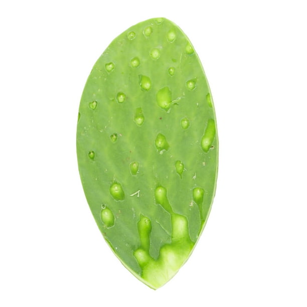 Imagen 3 de Nopal En Tira Empacado Por Kilo