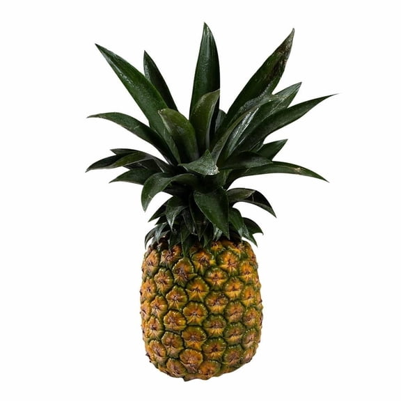 Piña Miel por kilo