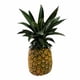 thumbnail image 1 of Piña Miel por kilo, 1 of 5