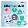 thumbnail image 3 of Bebida hidratante Gatorlyte sabor coco 591 ml, 3 of 5