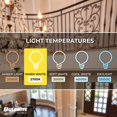 thumbnail image 4 of Bombilla LED Filamento 4W 2700K E12 Atenuable Bulbrite, 4 of 5