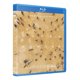 thumbnail image 1 of Película Blu-ray Marea Humana Zima Human Flow Ai Weiwei, 1 of 1