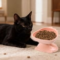 thumbnail image 5 of Plastic Cats Bowl Dog Bowl Cats Food Bowl Drinking Bowl To Cervical Vertebra Pet Bowl, 5 of 5
