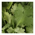 thumbnail image 3 of Cilantro por Pieza, 3 of 5