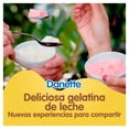 thumbnail image 3 of Gelatina a base de leche Danette sabor vainilla 100 g, 3 of 4