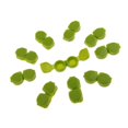 thumbnail image 1 of Estuches de contacto Colcomx con tapa abatible Soporte de viaje portátil Caja de R verde, 1 of 7