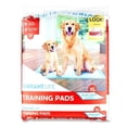 thumbnail image 1 of Tapetes para Entrenamiento Vibrant Life Extragrandes 30 Pzas, 1 of 4