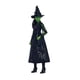 thumbnail image 3 of Muñeca Mattel Wicked Elphaba, 3 of 7