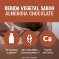 thumbnail image 4 of Bebida vegetal Silk sabor almendra con chocolate 946 ml, 4 of 9