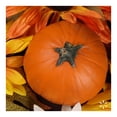 thumbnail image 4 of Calabaza Pay por pieza, 4 of 5