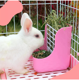 thumbnail image 3 of Kit Comedero Bebedero Para Conejo Cuyos Chinchillas Malubero ROSA BLANCO, 3 of 5