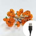 thumbnail image 1 of Luces Decorativas para Fiesta de Halloween, Cadena de Luces Led Fantasma para Halloween, 1 of 2