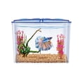 thumbnail image 1 of Betera De Plastico capacidad 1.5 L Lomas 1.5 L, 1 of 4