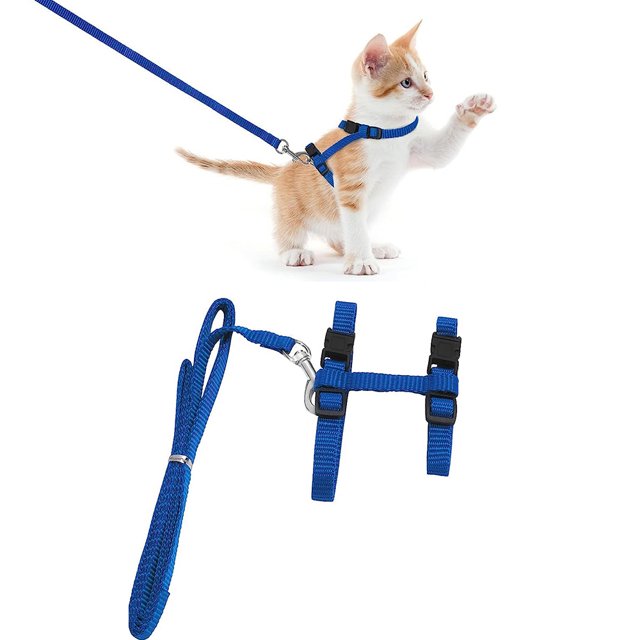 arnés para gatos, arnés para gatos con correa, a prueba de fugas, correa ajustable para gatos con arnés para gatos, correa de nailon para gatos, arnés para gatos pequeños, conejos y perros azul: vista frontal de arnés wrap-around azul colocado en un gatito; correa de nylon a juego conectada al anillo en D metálico. Detalle en plano separado del arnés con hebillas de liberación rápida en la espalda, broches en el cuello y acolchado de malla transpirable. Adecuado también como opción para paseos cortos con conejos o perros pequeños.