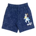 thumbnail image 3 of Conjunto de atuendo Bluey, camiseta vintage Wash 3T para niños pequeños, 3 of 7