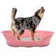thumbnail image 1 of KE WOOW Cama Mediana para Perro, Gato, Conejo y otras Mascotas, Cesta de Plástico, Incluye Colchón Doble Cara , Color Rosa KE WOOW Cama Plana con colchón mediana, 1 of 10