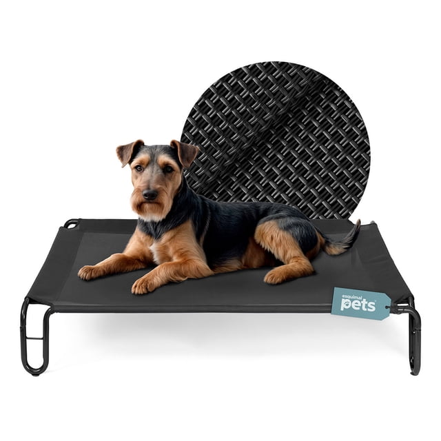 cama elevada para perro con malla transpirable, catre de mascotas esquimal (negro, 90x65x20 cm) Cama elevada tipo trampolín portátil en negro 90x65x20 cm con malla Teslin transpirable, estructura metálica con recubrimiento y patas con topes de goma; vista frontal con un perro recostado y etiqueta Esquimal pets, fondo blanco. Ideal también como base para colchoneta o manta en climas fríos.