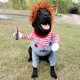 thumbnail image 5 of Disfraz de perro de muñeca mortal, divertido disfraz de perro, disfraz de fiesta de Halloween para perros, ropa de Navidad, ropa para mascotas adecuada para cachorros y perros medianos, M, 5 of 5