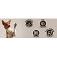thumbnail image 4 of Premio de Carnaza para Perro DOG-O-CHEW Trenza Flexible 5' 100% natural Sabor Camote pavo, 4 of 5
