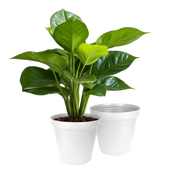 Atmos Homeware Macetas Decorativas para Interior y Exterior | 2 Macetas de Plástico con Textura y Capacidad para 23 Litros | Modelo Tip color Blanco 2 Piezas