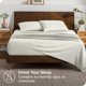 thumbnail image 3 of Juego de fundas de almohada Bare Home colección Premium 1800 ultra suave tamaño estándar crema 2 unidades, 3 of 6