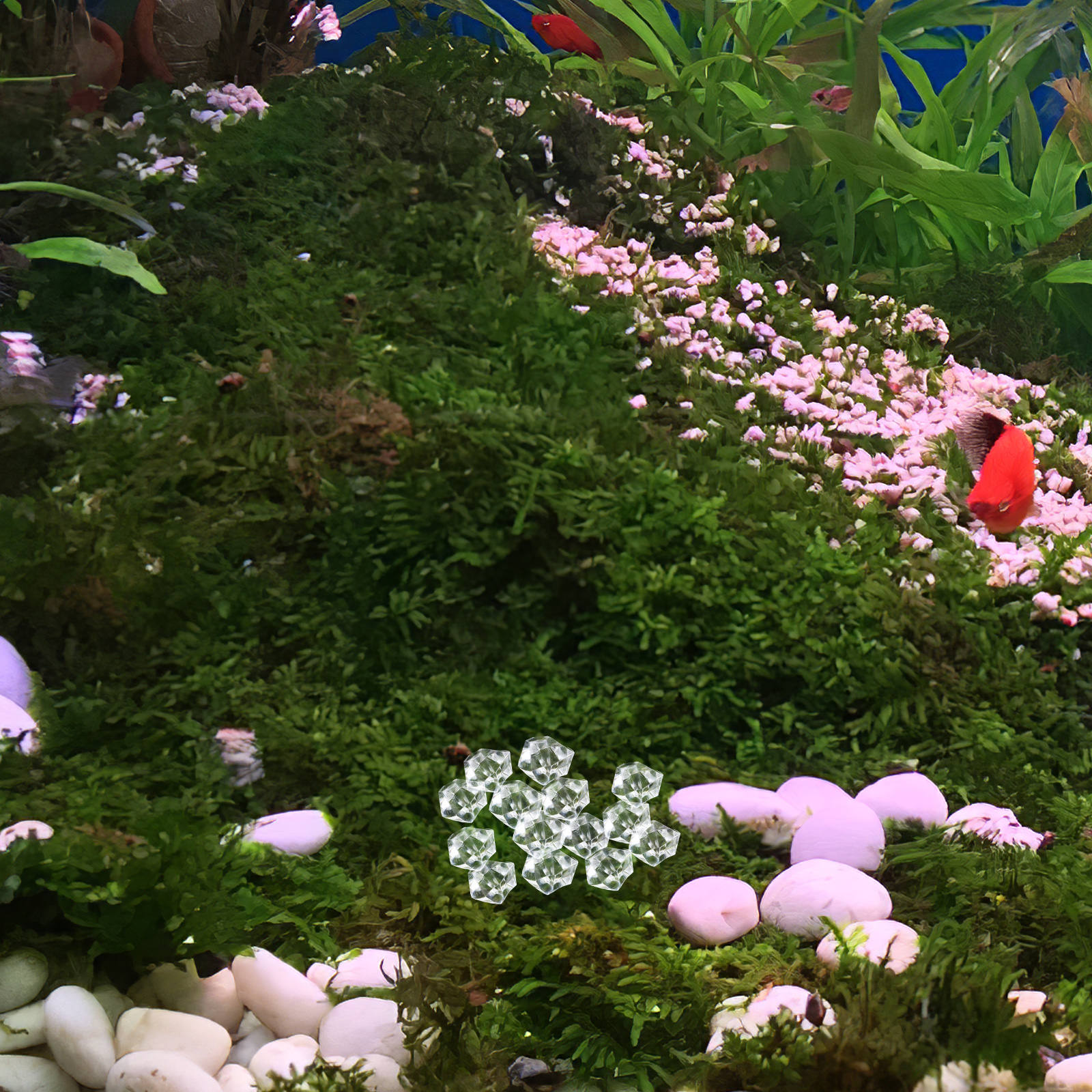 HAMPPLIES 1Pqt Decorativo Para Acuario Con De Natural | Walmart en línea