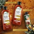 thumbnail image 5 of Acondicionador Herbal Essences Bio:Renew Bourbon Manuka Honey 400 ml, 5 of 5